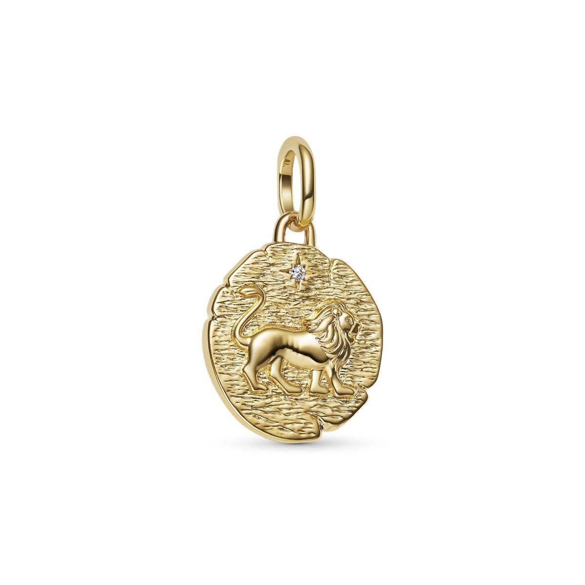 Lion Medallion Charm S925 Sterling Silver