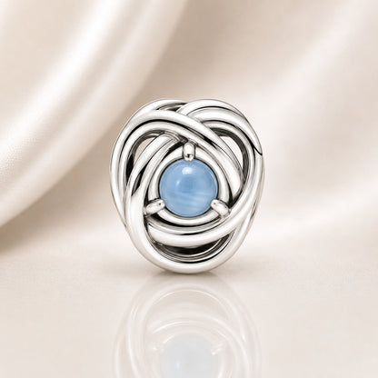 S925 Birthstone Eternity Circle Months Sterling Silver Charm Collection