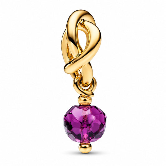 February Birthstone Eternity Circle Dangle Charm  S925 Sterling Silver