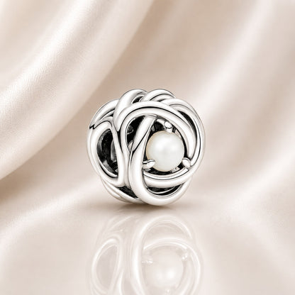 S925 Birthstone Eternity Circle Months Sterling Silver Charm Collection