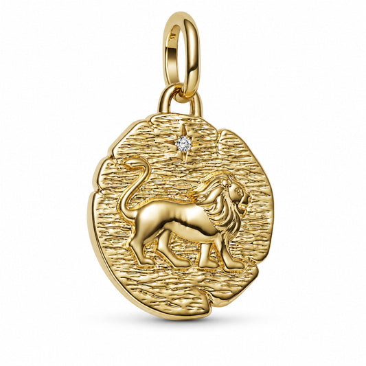 Lion Medallion Charm  S925 Sterling Silver