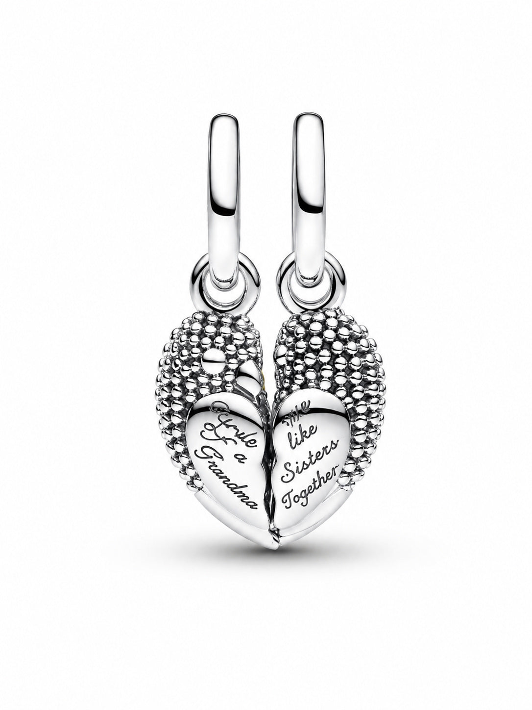 Love Birds Splitable Dangle Charm S925 Sterling Silver