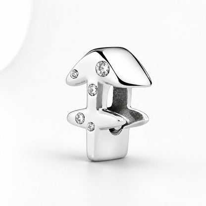 S925 Zodiac Sterling Silver Charm Collection
