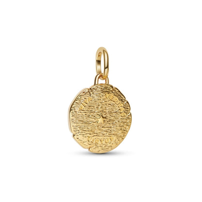 Lion Medallion Charm  S925 Sterling Silver
