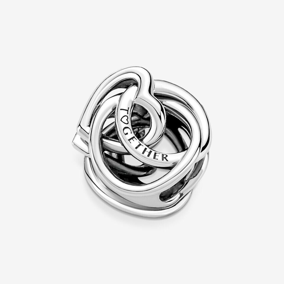 Family Always Encircled Heart Charm S925 Compatible Sterling Silver Charm